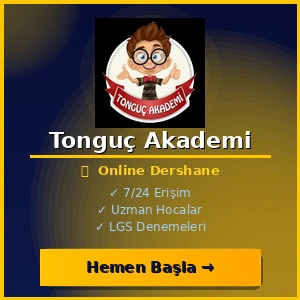 Tonguç Akademi Online Dershane